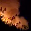 Adana ve Osmaniye’de Orman Yangınları
