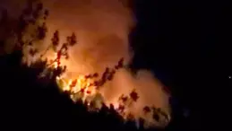 Adana ve Osmaniye’de Orman Yangınları
