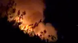 Adana ve Osmaniye’de Orman Yangınları