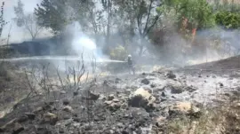 Osmaniye’de Anız Yangını Kontrol Altına Alındı