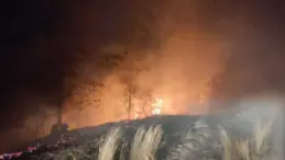 Osmaniye’de Orman Yangını Kontrol Altına Alındı
